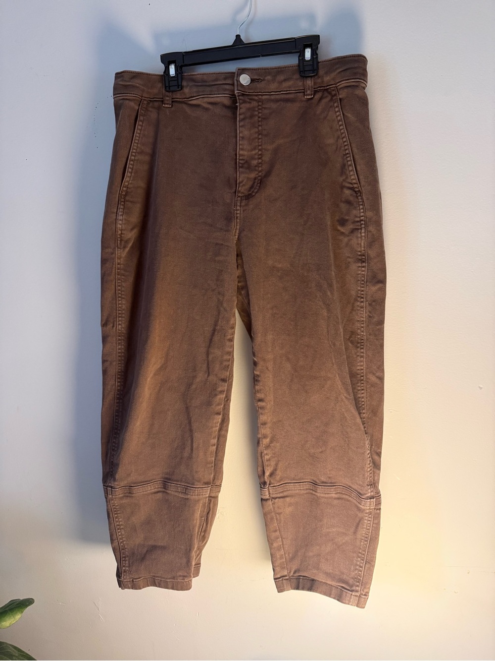 Everlane Women’s Brown Crop Utility Pants